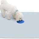 2ct Paw Inspired Speed Spot Go Here Potty Training Puppy Pads with Pop Up Urine Attractant Target | Washable, Reusable Dog Pee Pads with Pheromone Scent Patch for Housebreaking (36x36 Inch Size)