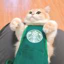 RUTNPO Pet Cat & Dog Clothes - Funny Costume, Soft & Breathable (Medium)