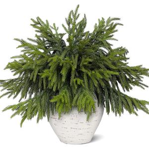 Juxdp 40 Pcs Real Touch Norfolk Pine Branches, Artificial Christmas Green Plants Branch Faux Greenery Stem Fake Pine Picks for Vase DIY Crafts Garland Wreath Xmas Indoor Outdoor Decor(18 Inches)