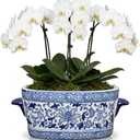 Blue and White Ceramic Planter Pot – Vintage Floral Oval Cachepot Vase for Indoor Plants, Flowers & Succulents – Glazed Porcelain Style Chinoiserie Décor –10.6" Size – No Drainage