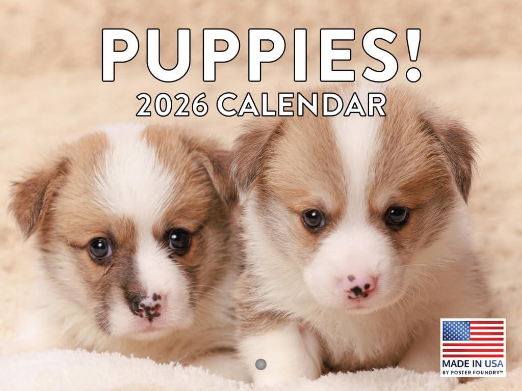 Puppy Calendar 2026 Puppies Monthly Wall Calender 12 Month | American Made In The USA