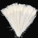 20PCS Long Peacock Feathers Off White 16-18 Inch Feather for Crafts Tall Vases Home Decor Wedding Centerpieces Decorations Christmas Tree Ornament Flower Arrangement