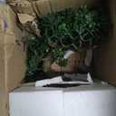 Artificial Bonsai Tree Juniper Faux Plants Indoor Small Fake Plants Decor with Ceramic Pots for Home Table Office Desk Bathroom Shelf Bedroom Living Room Farmhouse Decorations