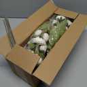 VIERENA 12 Pcs Faux Silk Peony Artificial Flowers for Vase -27", Bulk Fake Peonies Branches with Stems for DIY Bouquet Centerpieces Wedding Fillers Arrangements Shower Decorations (Cream)