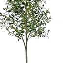 YJH 6ft Artificial Olive Tree Artificial Fake Tree Green Potted with Realistic Fruit, for Modern Home Office Living Room Floor Decor and Housewarming Gift (6ft)