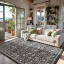 Grey Area Rug 6x9 for Living Room Bedroom