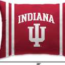 Pegasus Sports NCAA Plush Logo Bed Pillow, 20" x 26"