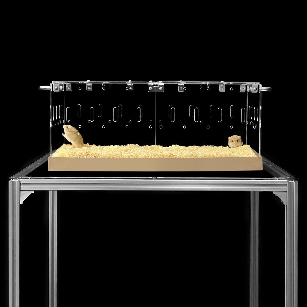 GuineaLoft Acrylic Cage (Model-P3) - Small 2x1 ft Enclosed w/Lid & Bottom for Hamsters, Rats, Mice, Gerbils, Also Works for a Single Guinea Pig, or as a Transport Cage