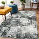 Washable 3x5 Abstract Area Rug - Large Living Room Area Rugs Modern Stain Resistant Indoor mat for Bedroom Dining Room Non Slip Rubber Backing Thin Super Soft Room Decor Floor Carpet 3x5 Black A