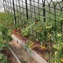 LZRS 4 Pack 71x20in Rustic Iron Arch Decoration Garden Trellis with Black Metal Coating Perfect for Supporting Climbing Plants Outdoor, Roses, Vines, Flowers, and Vegetables.