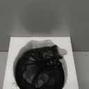 Cat Urn, Sleeping Pet Urn, Pet urn for Cats Ashes, Cremation Cat Ashes Urn, Funeral urn for Cats, Pet Memorial Keepsake Urns (Black)