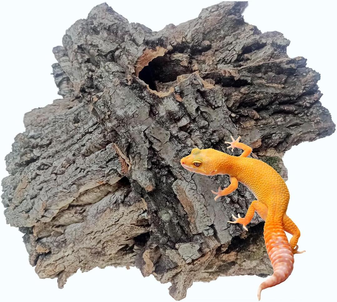 Reptiles Cork Bark Bits Substrate,1 LB Terrarium Bark Bedding Bulk for Geckos Snake Isopods Bearded Dragon Spiders Lizard Tarantula Hermit Crabs