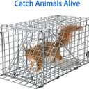 Gingbau Squirrel Trap Foldable Heavy Duty Humane Live Animal Cage Trap (Not for Mouse)