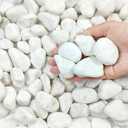 40 lbs White Rocks for Landscaping, 1-2 Inch White Gravel. Decorative Pebbles Stones for Plants, Vases, Aquariums, Craft and Garden