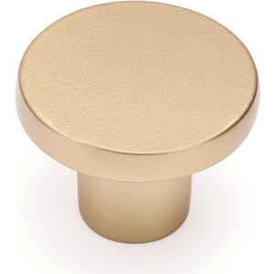 Ravinte 10 Pack Cabinet Knobs Champagne Gold Kitchen Cabinet Knobs Round Dresser Drawer Pulls Closet Door Pulls 1-1/5 Inch