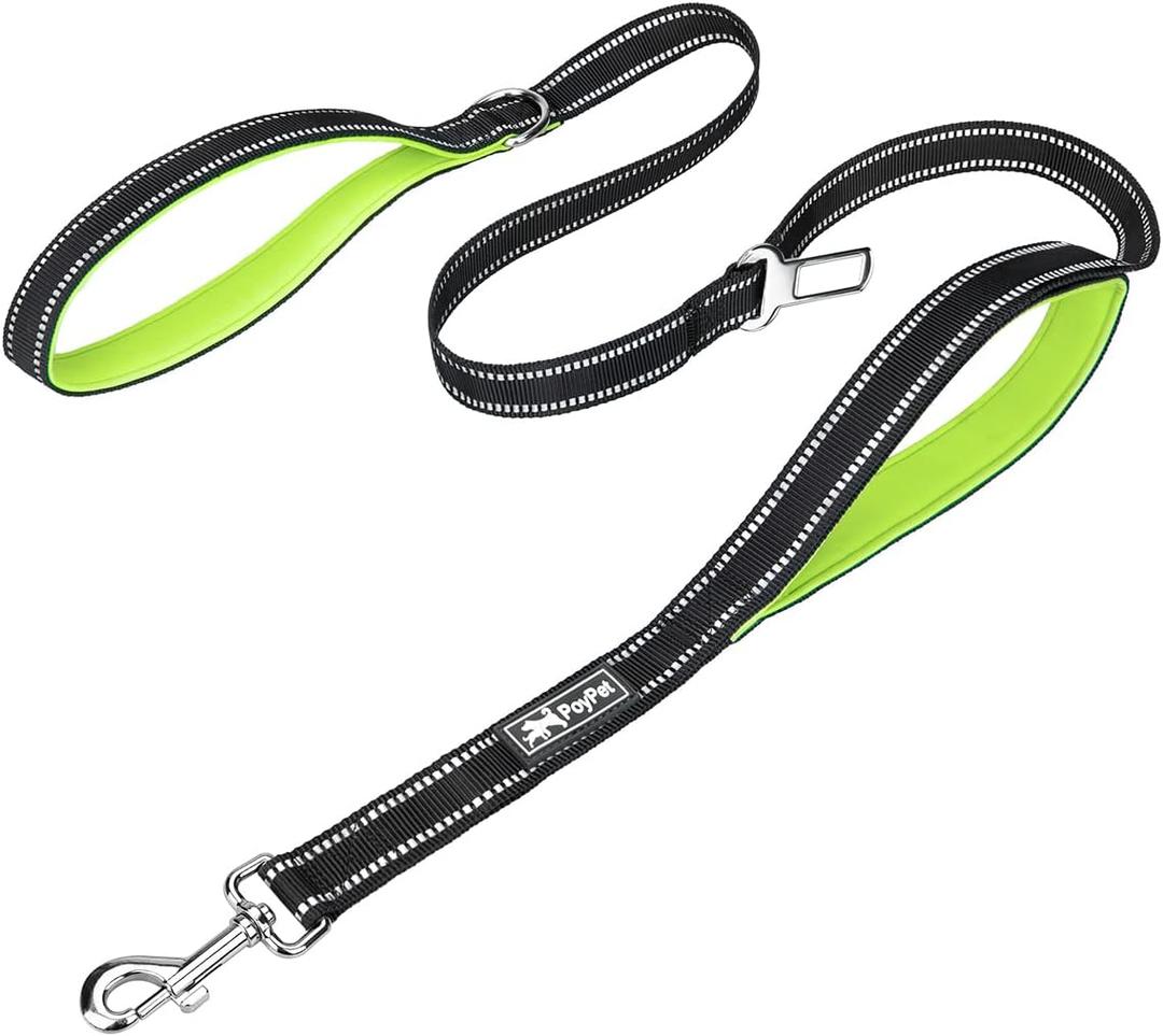 PoyPet 5 Feet Dog Leash - 3M Reflective - 2 Cushioned Handles - Functional Car Seat Belt(Green)