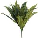 Boston Fern Bush Fern Collection by Ashland