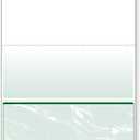 DocuGard Standard Green Marble Bottom High Security Check Paper - QuickBooks & Laser/Inkjet Printer Compatible - 11 Security Features - 500 Blank Business Checks (04518)