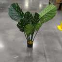 FOPAMTRI Artificial Variegated Monstera Deliciosa Plant 43" Fake Tropical Palm Tree, Perfect Faux Swiss Cheese Plant for Home Office Indoor Decoration, 11 Leaves