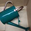 1 Gallon Metal Watering Can with Removable Spout, Nice Galvanized Steel Water Can for Indoor and Outdoor Plants (House Plants)
