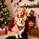 Valentines Day Dog Bandana with Unique Quick-Release Buckle and Retractable Design,Triangle Reversible Bibs Breed for Dogs,Red Plaid Bandana with Christmas Santa(XL)