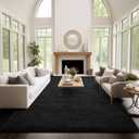 Ophanie Area Rugs 9x12 Living Room, Large Black Bedroom Carpet, Big Shag Indoor Thick Soft Nursery Rug, Fluffy Carpets for Boy and Girls Room Dorm Home Decor Aesthetic (9' x 12', 2- Black)