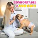 XPCARE 40 Count Disposable Female Dog Diapers, Super Absorbent, Leak Proof, Dog Diapers,Dog Period Diaper Female, for Incontinence, Estrus Female Dogs (Small)