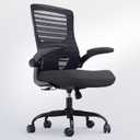Office Desk Chair for Long Hours & Lower Back Pain Relief 4 Thick Molded Foam Cushion, Enhanced Lumbar Support, Padded Flip-up Armrests, Ideal for Office or Study, Black