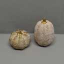 DN DECONATION Fall Pumpkin Decorations Table Centerpieces, 2Pcs White & Gold Artificial Pumpkins Figurines for Autumn Thanksgiving Harvest Indoor Home Decor (Resin with Rope-Wrapped Texture)