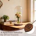 AceOrbit 16 Inch Glass Dome Cloche Display with Wood Base, Clear Tall Glass Dome, the Bell Jar Clear Cloche for Plants, Curios, Keepsakes, Heirlooms