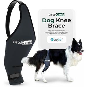OrtoCanis Dog Knee Brace L