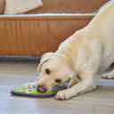 Outward Hound Tough Skinz Durable Squeaky Dog Toy with Two Tough Layers, Avocado, Green, Medium