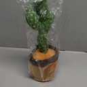 Dancing Talking Cactus Toy for Valentine's Gifts, Interactive Funny Baby Toys for Infants 6-18 Months, Mimicking Singing Repeating Light Up Toy for Toddler 1 2 3 Year Old Boys Girls