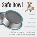 PEGYY11 Nonslip Stainless Steel Dog Bowls, 7.6 US Cup, 2 Count