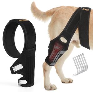 Dog Knee Brace for Torn ACL Hind Leg with Side Stabilizers,Knee Cap Dislocation, Arthritis - Keeps The Joint Warm and Stable - Extra Support - Reduces Pain and Inflammation (M)