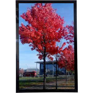 11x17" Picture Frame for Wall Black, Display pictures 11x17" Poster Frame, Wall Sign Poster Menu Photo Frames, 1 Pack