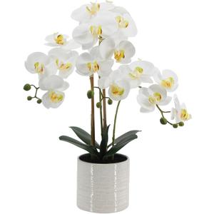 Artificial Orchid Flowers Fake Phalaenopsis Plant in Pot, 23" Tall Faux Orchids for Home Decor Indoor, Lifelike Silk Flowers for Centerpieces Office Arrangement-White