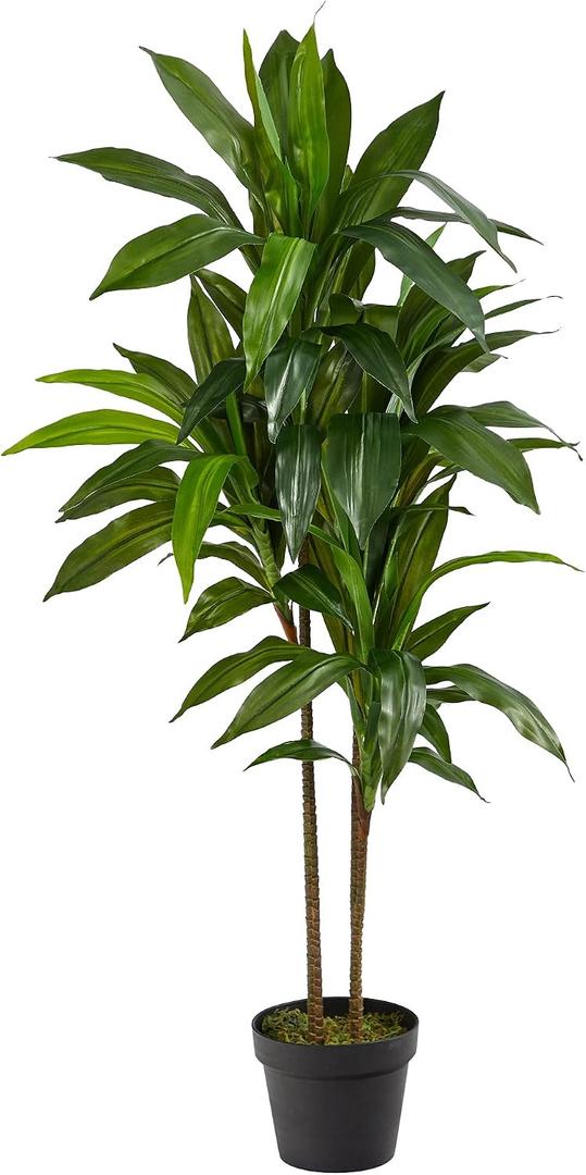 Nearly Natural 48in Artificial Dracaena with Real Touch Leaves and Multi Tonal Trunks, Large Indoor Silk Plant with Pot, Maintenance Free For Living Room And Home Office Decor