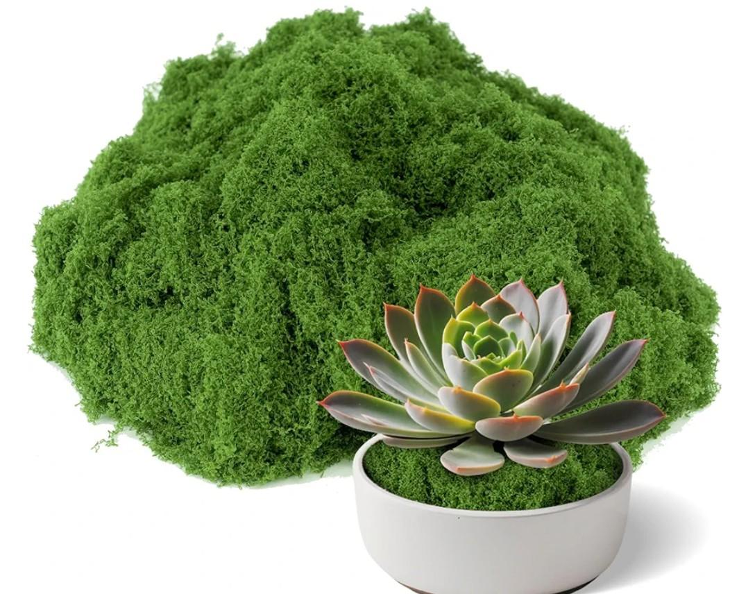 Fake Green Moss 7.05 oz Artificial Moss for Crafts Potted Plants Indoor, Faux Moss Decor for DIY Decorative Table Centerpieces, Glass Containers, Party Wedding & Fairy Garden Floral (Light Green)