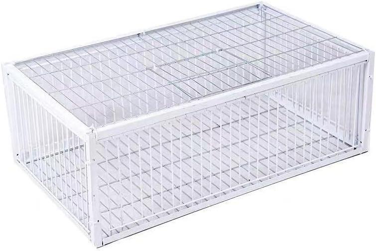 Big Foldable Galvanised Pigeon Dove Bird Trap Cage Feral Pigeon Humane Way with The one-Way Entrance Trapping Pigeons Doves in Cages 1 (40x30x26cm / 17x13x10inch 4 Entrances)