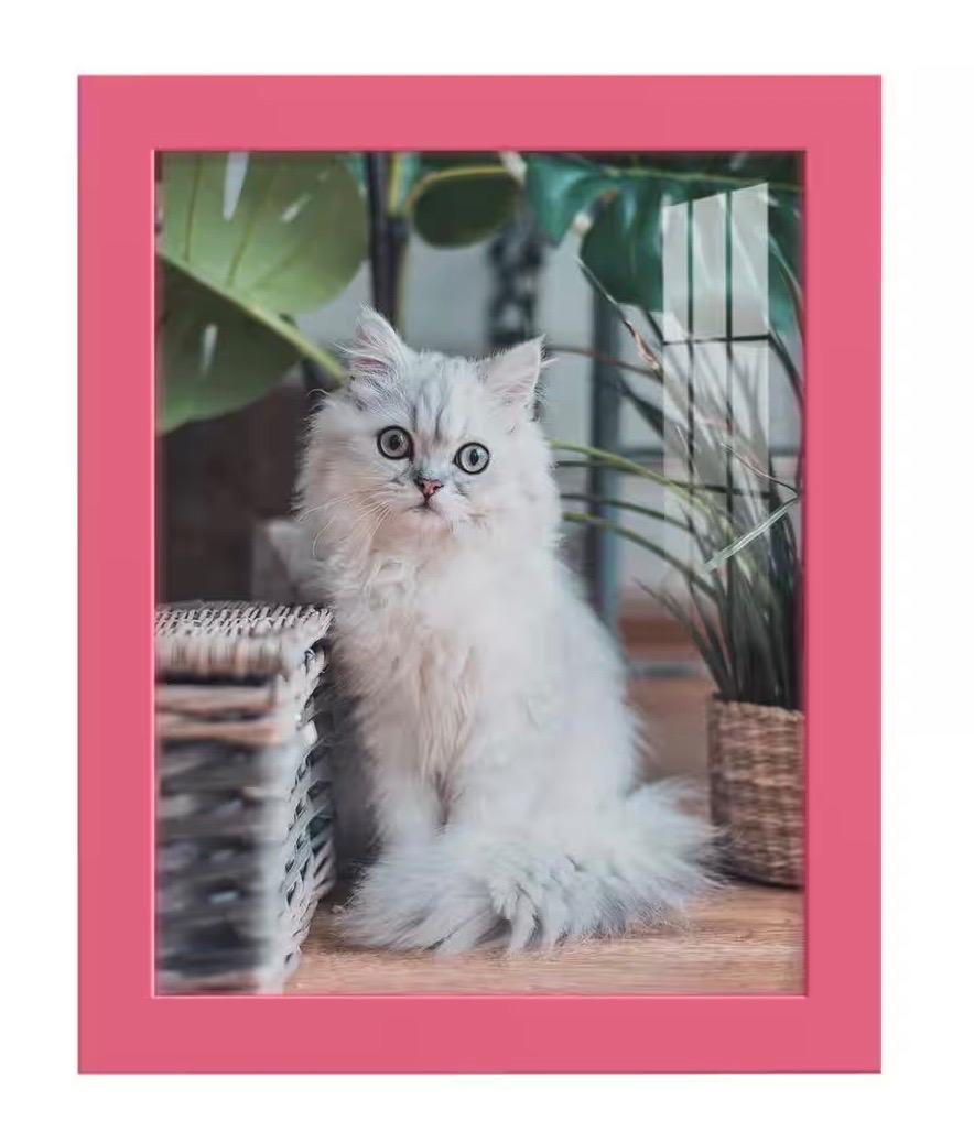 Modern 8 in. x 10 in. Hot Pink Picture Frame
