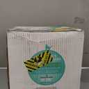 Purina Tidy Cats Free and Clean Unscented Cat Litter - 38 lb. Box