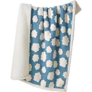 LE SURE Waterproof Puppy Blanket for Small Dogs - Washable Double Sided Dog Blankets with Warm Jacquard Shag and Soft Sherpa Fleece, Pet Cat Blanket for Couch Protection, 3D Textured Cloud, Blue