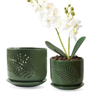 5+6 inch Orchid Pots with Holes, Orchid Pots for Repotting, Healthy Air Circulation Plant Pots for Plant Lovers, Planters for Indoor/Outdoor Plants, Set of 2 (Green)
