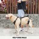 COODEO Mobility Dog Lift Harness, Support Sling & Walking Sling for Dogs, Pet Rear Leg Rehabilitation Support Vest, Dog Carrier for Senior Dogs with Joint Injuries, Arthritis, Up Stair (Black, L)