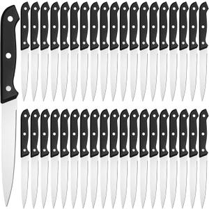Lasnten 50 Pcs 8.67 Inches Fine Edge Steak Knife Set Stainless Steel Non Serrated Steak Knives Triple Riveted Straight Table Dinner Knives for Cutting Meat, Black
