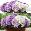 Purple 6 Bundles Hydrangea Artificial Flowers Bulk 30 Heads 20'' Faux Fake Hydrangea for Spring Easter Decor Porch Indoor Outdoor Home Garden Wedding Table Centerpieces
