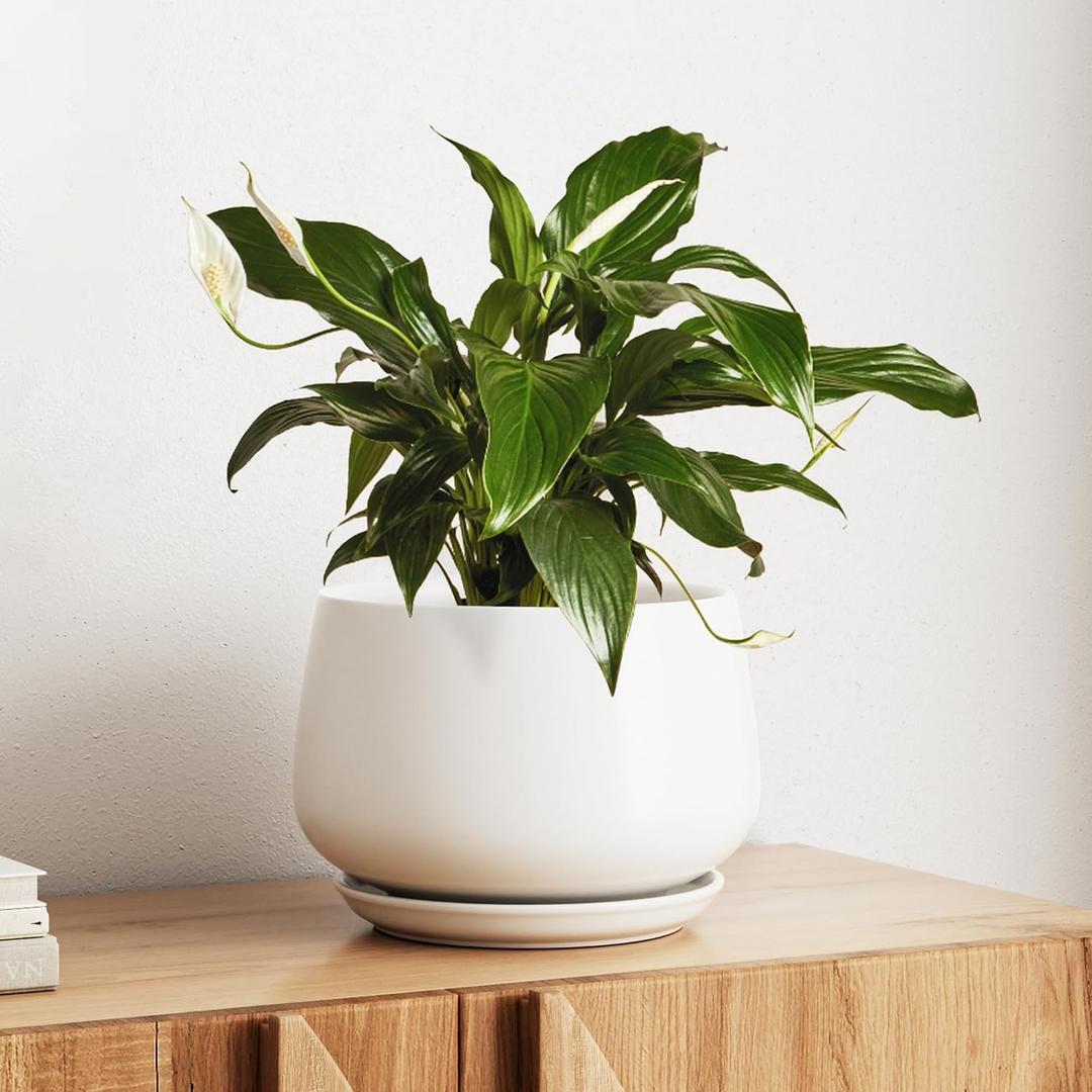LE TAUCI Ceramic Planter, 10 Inch Plant Pot with Drainage Hole & Saucer Durable Indoor Planter for Modern Home Decor, White