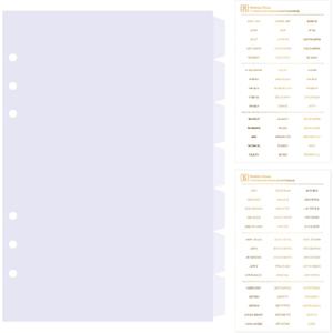 DY.2ten Clear Dividers for 6 Ring Binder, 7-Tab Sturdy Plastic Dividers, A5 Index Divider, 6 Hole Binder Dividers, Insertable Notebook Planner Tab Dividers for Binders