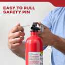 Kidde Multi Purpose Fire Extinguisher for Home, Office, Dorm, Residential, 1A10BC, 2 Pack, manual